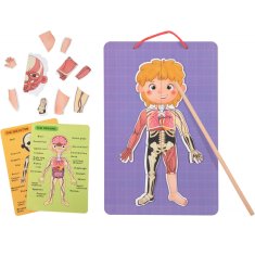 Tooky Toy Montessori magnetické drevené puzzle Učenie anatómie človeka 78el.