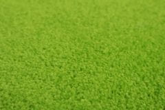 Vopi Kusový koberec Eton zelený ovál 50x80