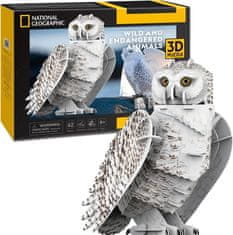 CubicFun 3D puzzle National Geographic: Snežná sova 62 dielikov
