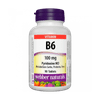 Vitamín B6 (pyridoxín) 100mg