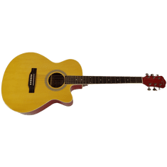 M 100 NAM elektroakustická kytara s výřezem
