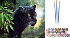 Norimpex Maľovanie podľa čísel: Puma čierna, plátno na ráme 40x50 cm