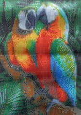 Norimpex Diamantové maľovanie Farebné papagáje 30x40cm