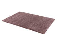 AKCIA: 67x130 cm Kusový koberec Savona 180017 Aubergine 67x130