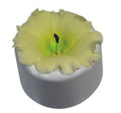 Martellato Formovač na kvetiny 75 × 50 mm Surfínia
