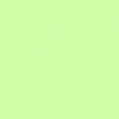Polášek Holešov Froté plachta na jednolôžko - 90 x 200 cm - svetlozelené