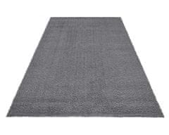 Kusový koberec Delgardo K11501-04 Silver 160x230