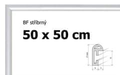 BFHM Plastový rám na puzzle 50x50cm - strieborný