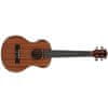 BT3 EQ elektroakustické tenorové ukulele