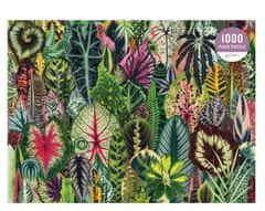 Galison Puzzle Džungľa izbových rastlín 1000 dielikov