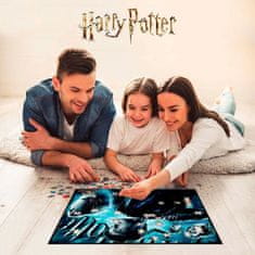 Prime 3D Puzzle Harry Potter: Chrabromil 3D 500 dielikov