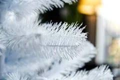 Vianočný stromček JEDĽA BIELA, výška 120 cm