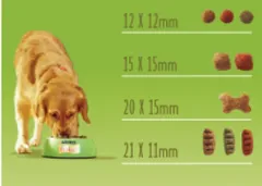 Dog adult BALANCE kura 15 kg