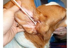 Bambusové vatové tyčinky na čistenie uší pre psa S/M