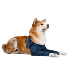 MPS Pooperačné ochranné oblečenie na obe predné nohy psa 12cm, obvod hrudníku: 30-43 cm