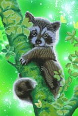 Diamantová maľba - Sweet Raccoon