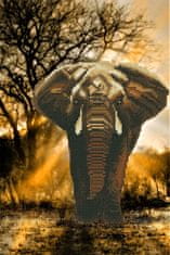 Diamantová maľba - Slon africký