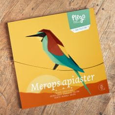 Plego Figúrka exotického vtáka MEROPS APIASTER - formovacia sada