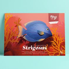 Plego STRIGOSUS Morská ryba postava - Creation Set