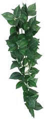 KOMODO Dekorácie umelá rastlina - popínavá Sumatra 13cm